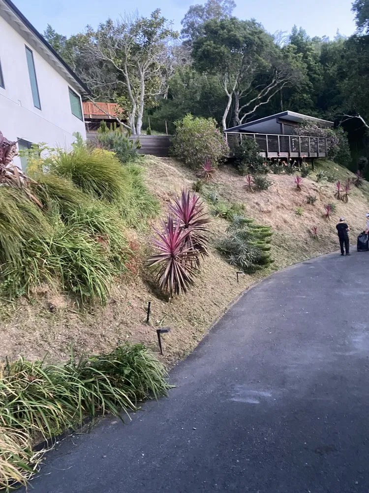 Expert lawn care service in Rohnert Park, CA - The Backyard Boys