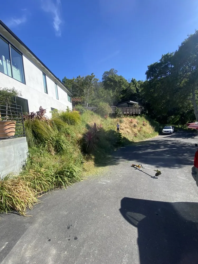 Affordable landscaping services in Rohnert Park, CA by The Backyard Boys