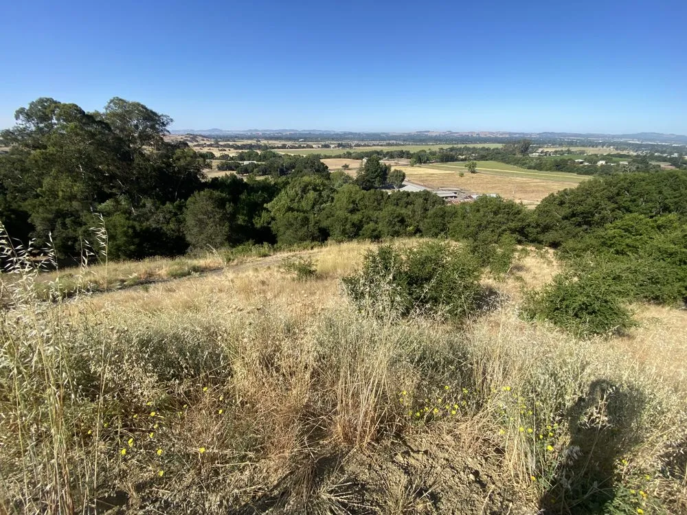 Expert yard maintenance in Rohnert Park, CA - The Backyard Boys