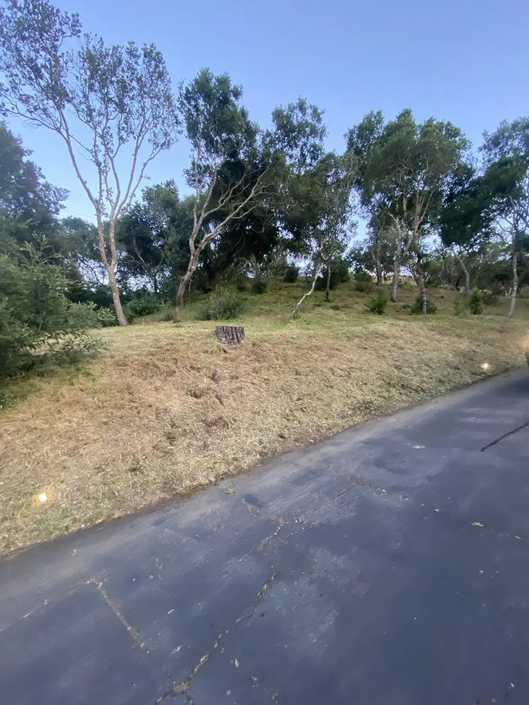 Top-rated yard maintenance for residential properties in Rohnert Park, CA by The Backyard Boys