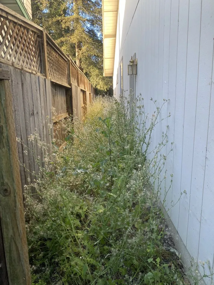 Reliable yard maintenance experts serving Rohnert Park, CA - The Backyard Boys