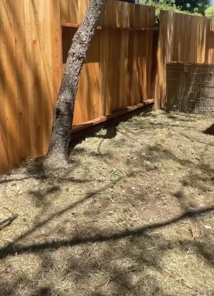 Top-rated lawn care service for beautiful yards across Rohnert Park, CA - The Backyard Boys