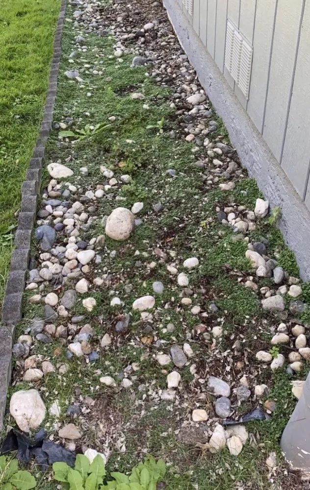 Local garden landscaping in Rohnert Park, CA by The Backyard Boys