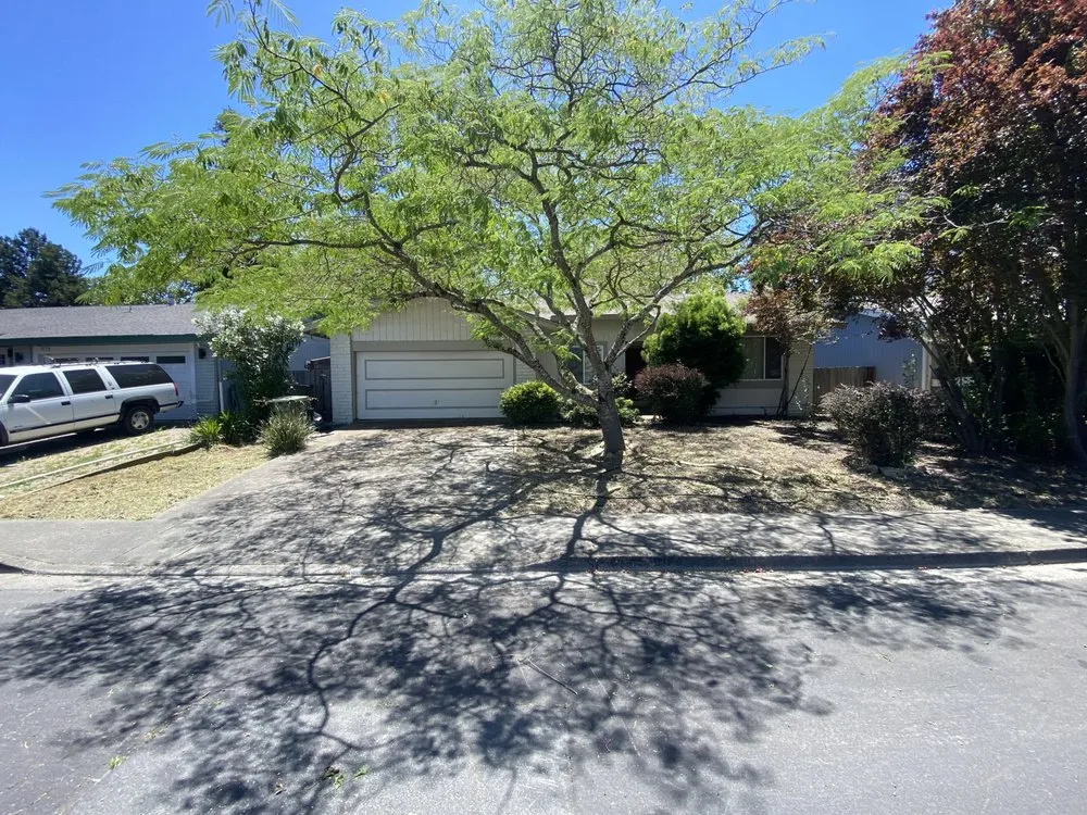 Reliable landscape installation in Rohnert Park, CA by The Backyard Boys
