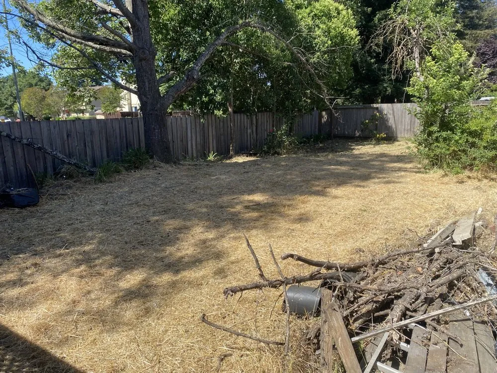 Top-rated landscape installation in Rohnert Park, CA by The Backyard Boys