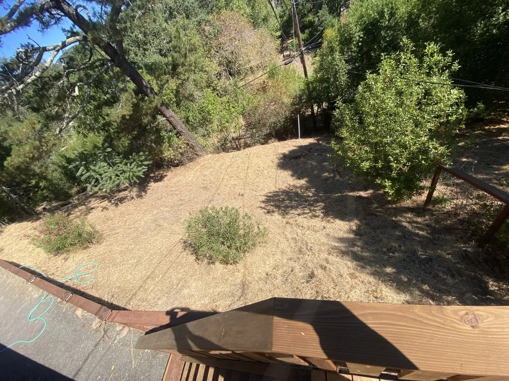 Trusted yard maintenance experts serving Rohnert Park, CA - The Backyard Boys