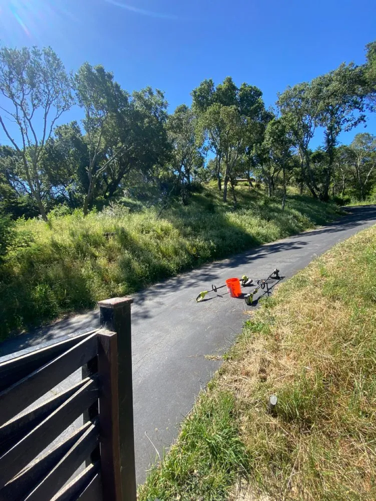 Custom residential landscaping for beautiful yards across Rohnert Park, CA - The Backyard Boys