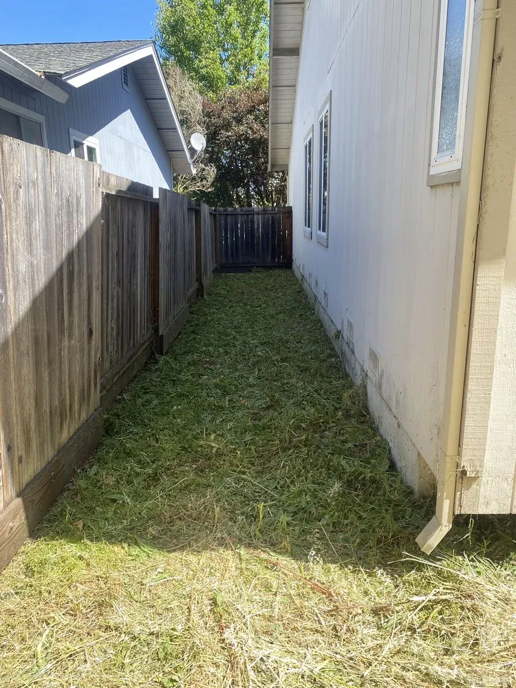 Professional yard maintenance with custom design in Rohnert Park, CA by The Backyard Boys