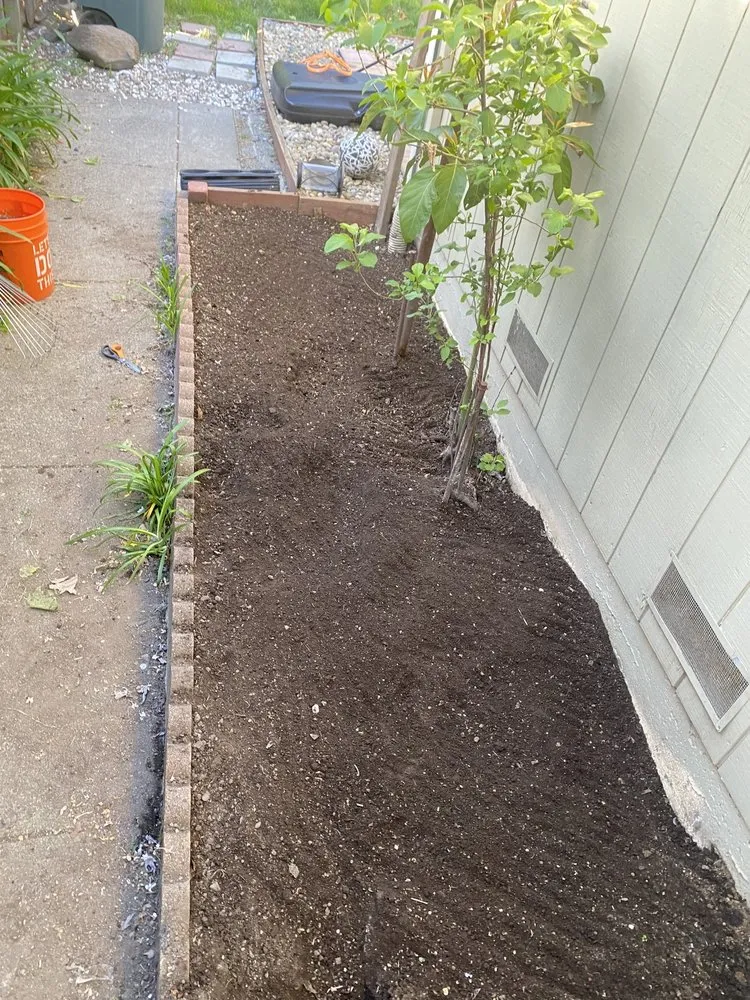 Professional outdoor landscaping with custom design across Rohnert Park, CA - The Backyard Boys