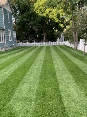 The Backyard Company Logo