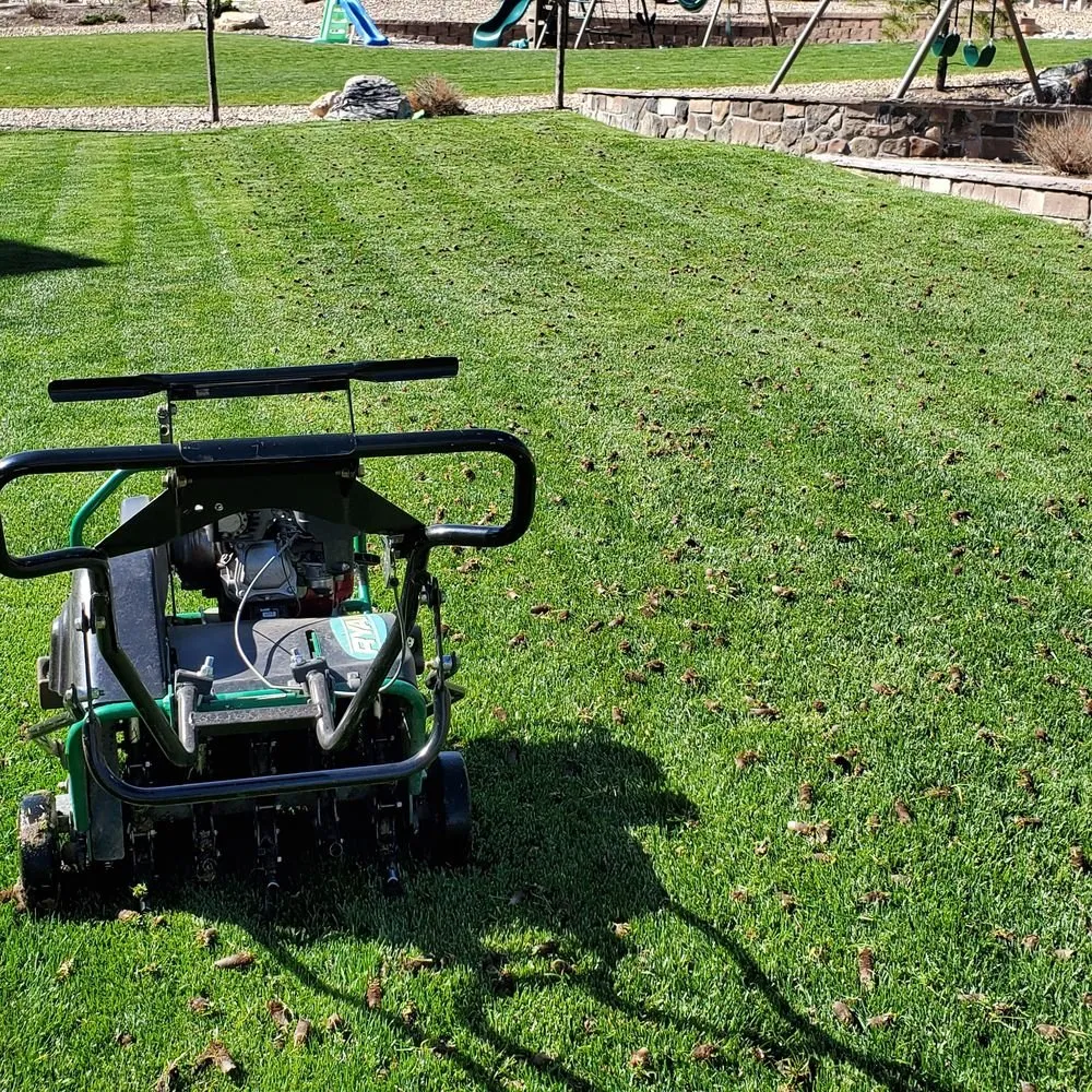 Professional landscaping services experts serving Indianapolis, IN - The BackyarDream Landscaping