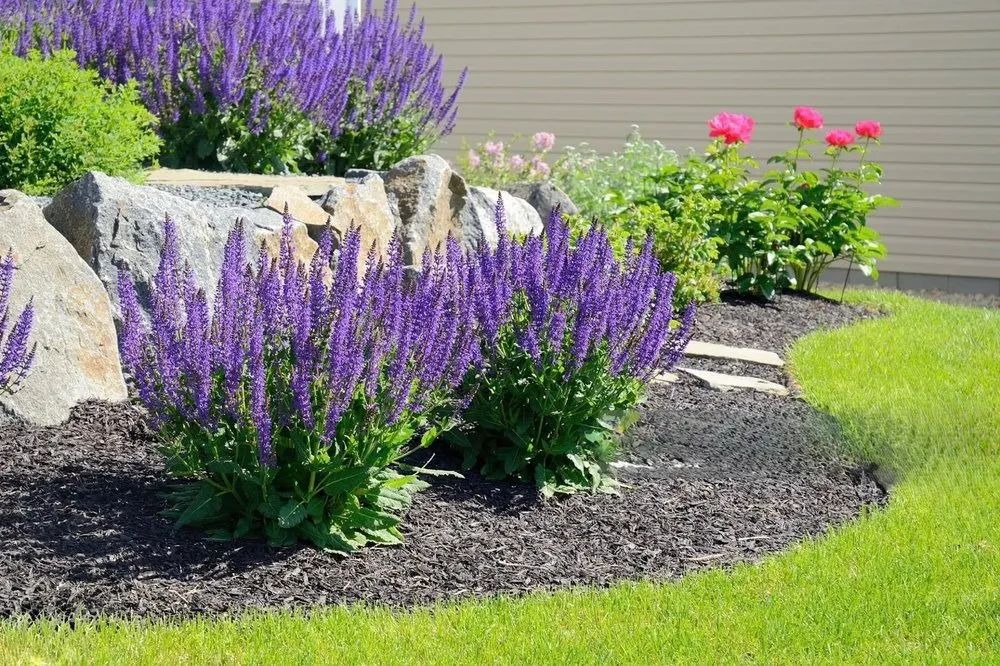 Expert landscape installation for outdoor upgrades across Indianapolis, IN - The BackyarDream Landscaping