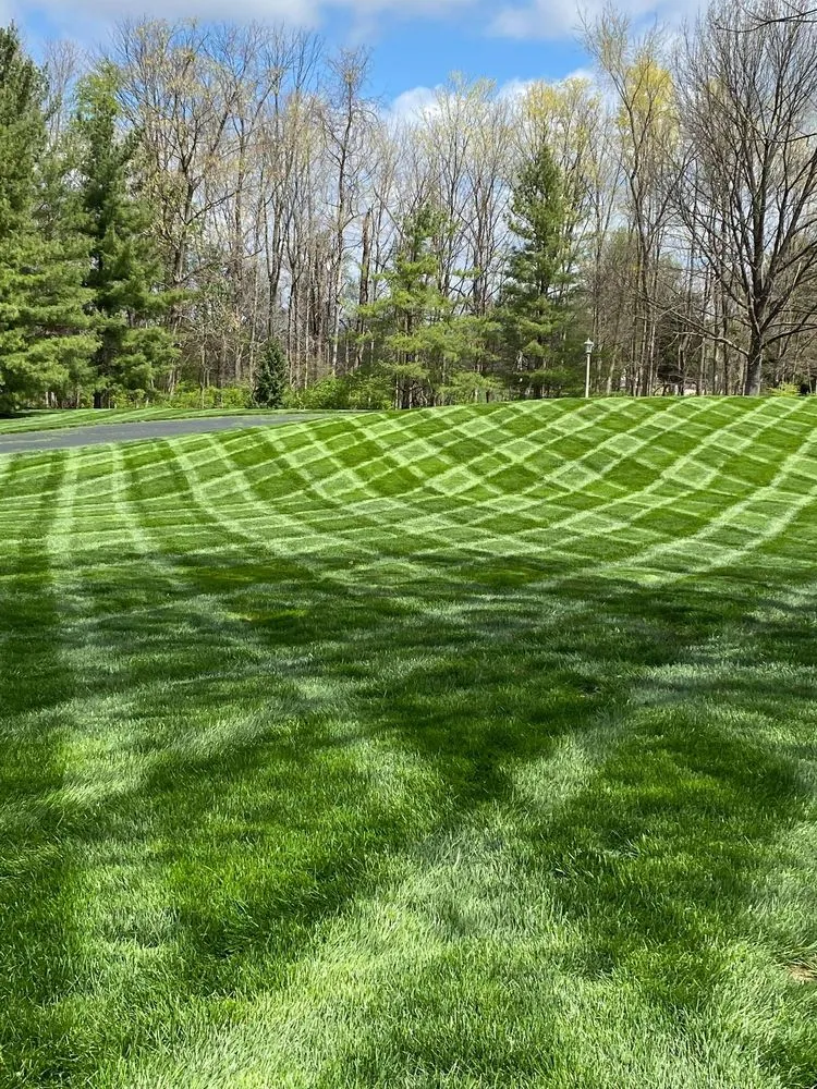 Trusted landscape design in Indianapolis, IN by The BackyarDream Landscaping