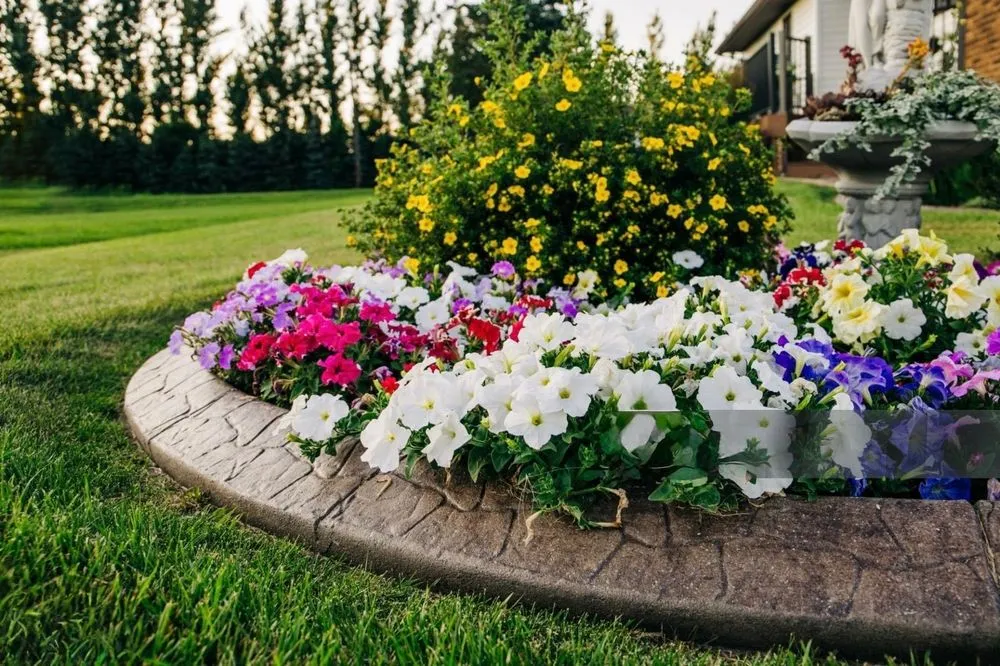 Reliable outdoor landscaping for homes in Indianapolis, IN by The BackyarDream Landscaping