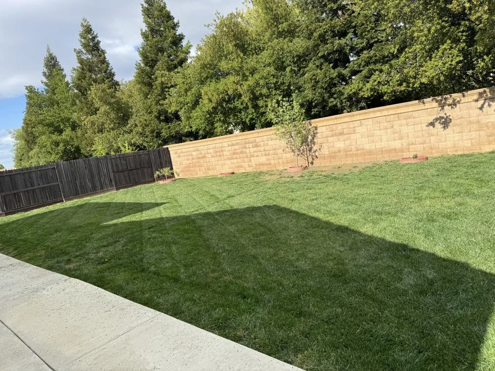 Top-rated yard cleanup service in Yuba City, CA - The Ballona’s Landscaping