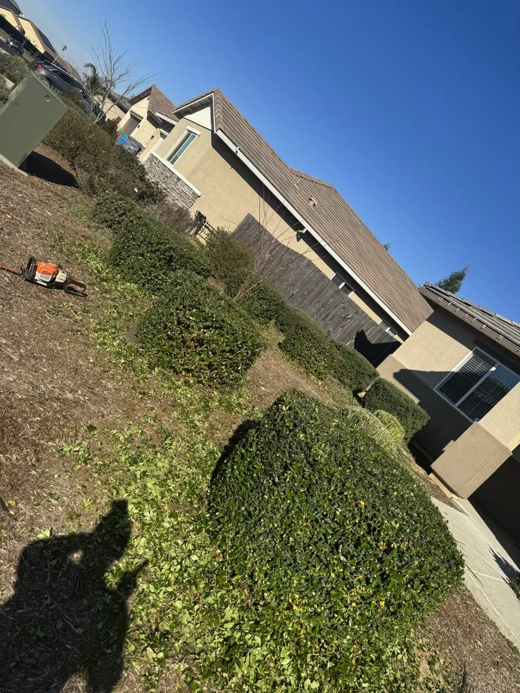 Custom landscape design for outdoor upgrades in Yuba City, CA by The Ballona’s Landscaping