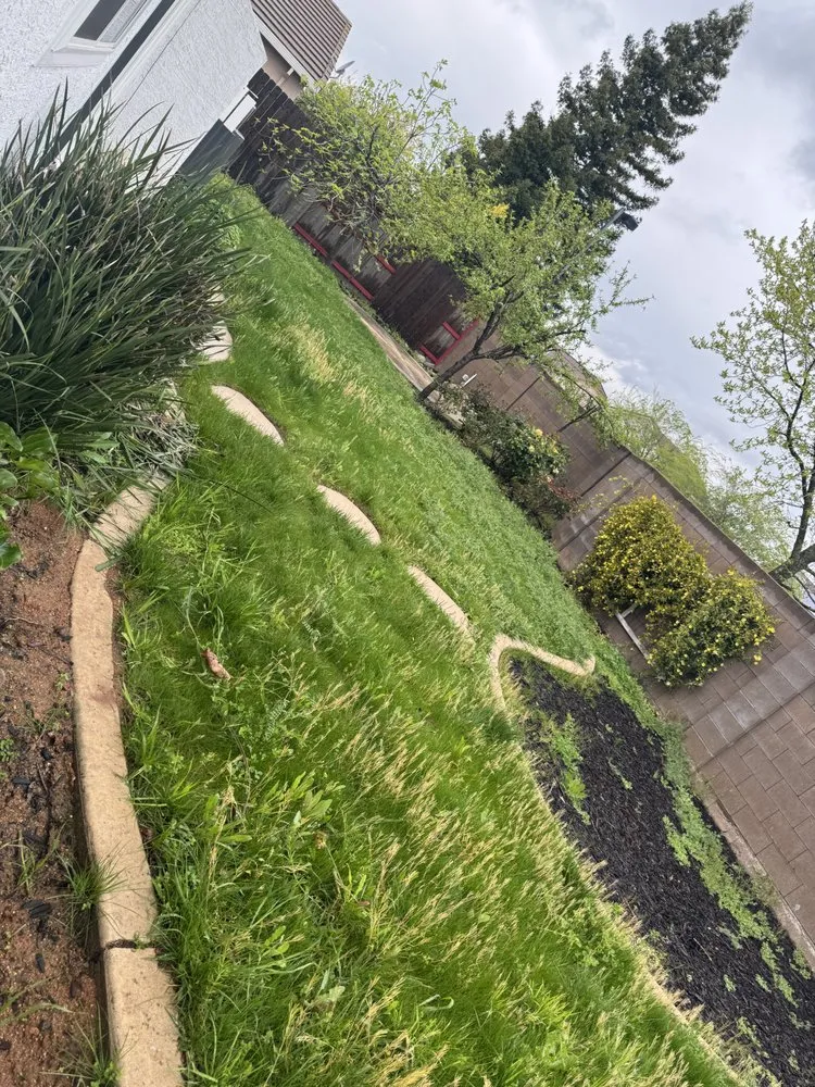 Professional lawn mowing service in Yuba City, CA - The Ballona’s Landscaping