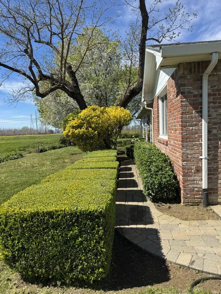 Reliable yard maintenance for beautiful yards across Yuba City, CA - The Ballona’s Landscaping