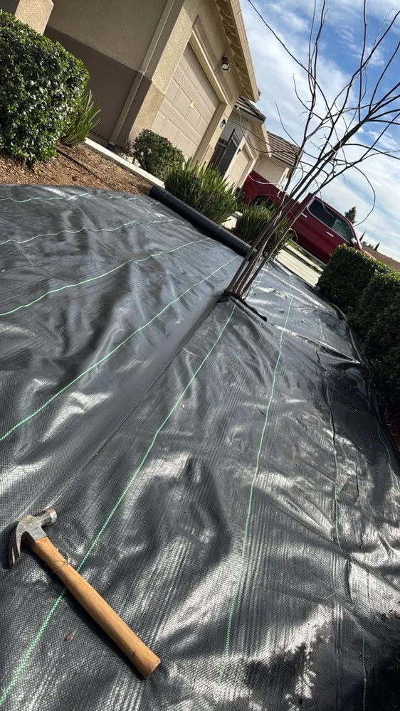 Local yard cleanup service experts serving Yuba City, CA - The Ballona’s Landscaping