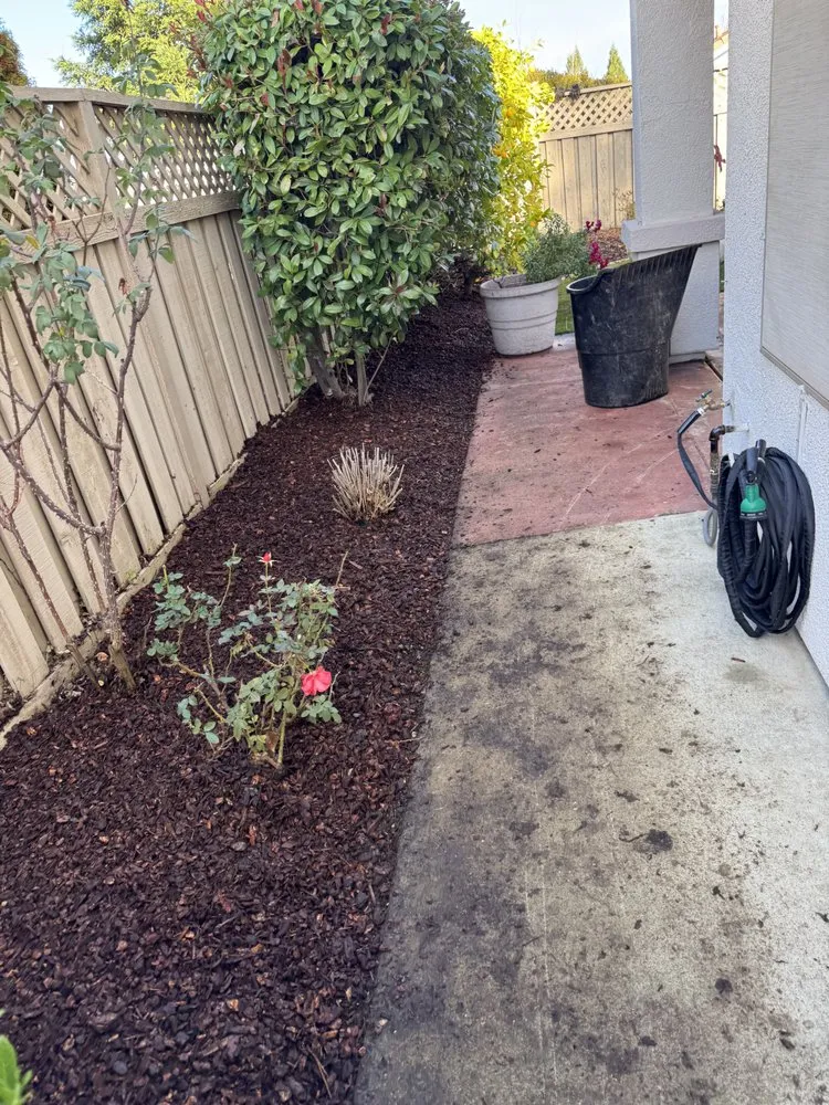 Top-rated landscape design for outdoor upgrades in Yuba City, CA by The Ballona’s Landscaping