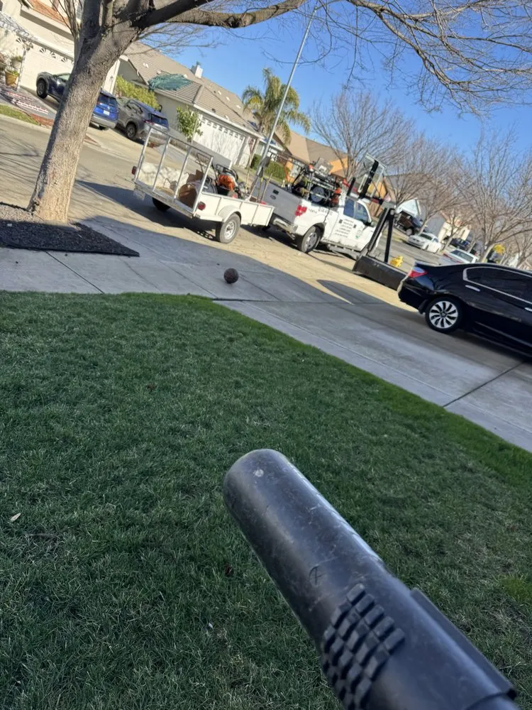 Reliable lawn care service in Yuba City, CA by The Ballona’s Landscaping