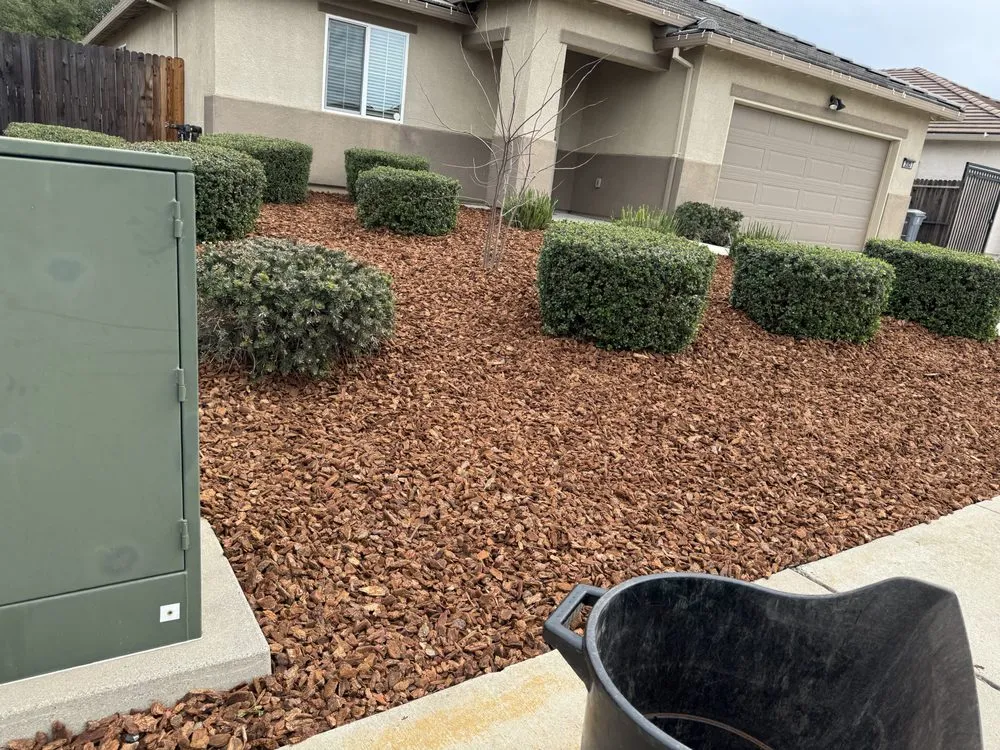 Expert landscape installation for beautiful yards in Yuba City, CA by The Ballona’s Landscaping