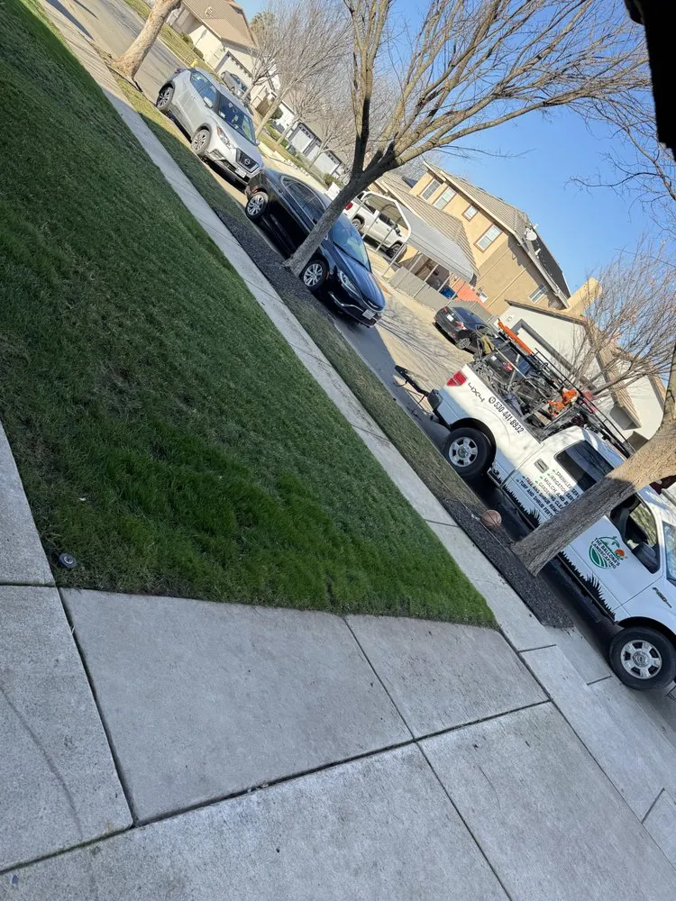 Reliable residential landscaping for beautiful yards across Yuba City, CA - The Ballona’s Landscaping