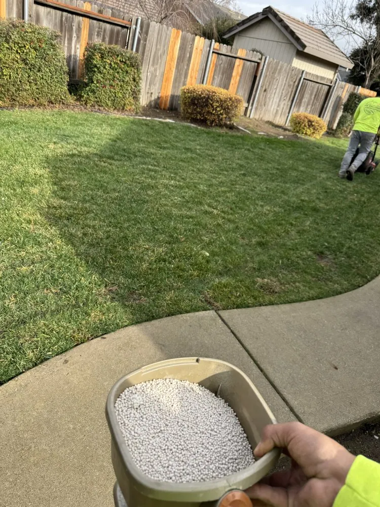 Affordable garden landscaping near you in Yuba City, CA by The Ballona’s Landscaping