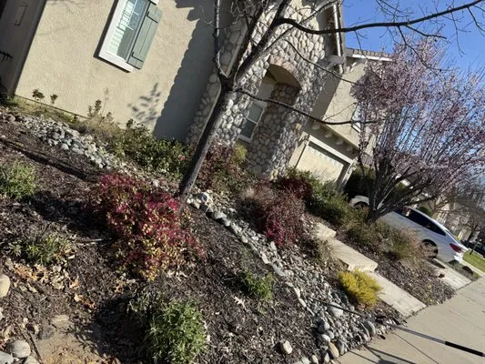 The Ballona’s Landscaping Logo