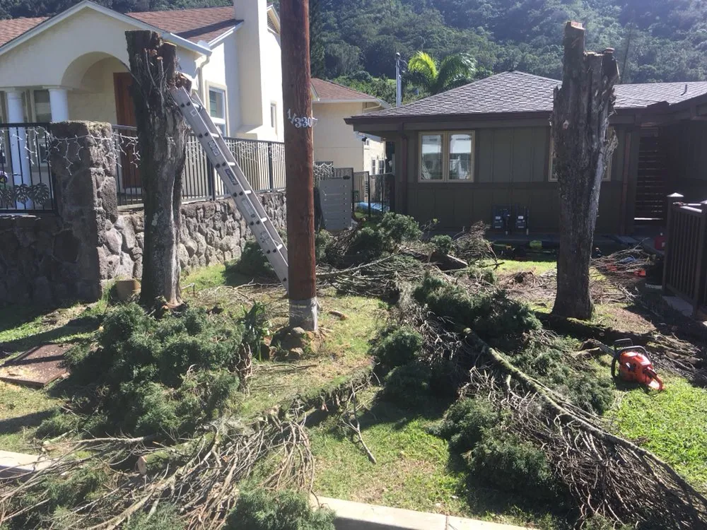 Reliable yard maintenance for homes across Honolulu, HI - The Barechested Arborist