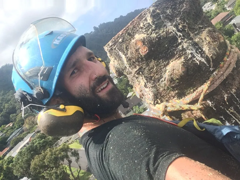 Affordable landscape installation in Honolulu, HI - The Barechested Arborist