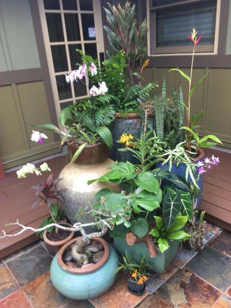 Custom lawn care service experts serving Honolulu, HI - The Barechested Arborist