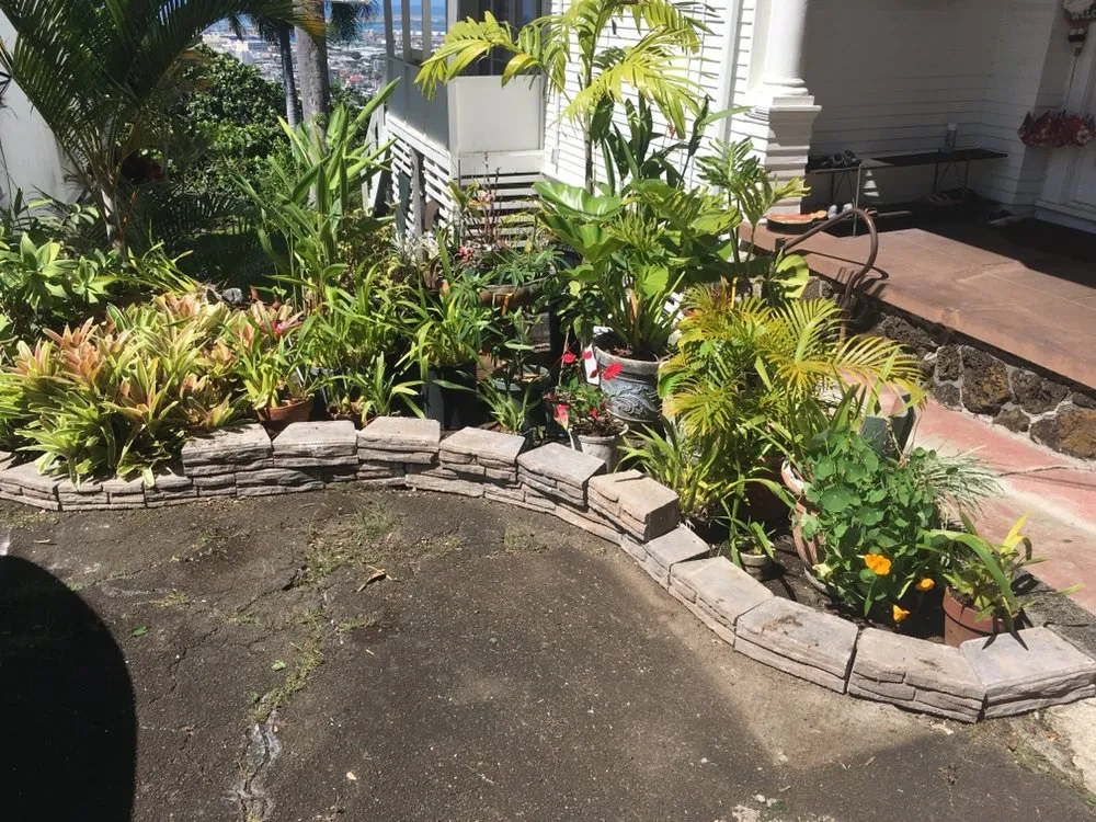 Trusted residential landscaping experts serving Honolulu, HI - The Barechested Arborist