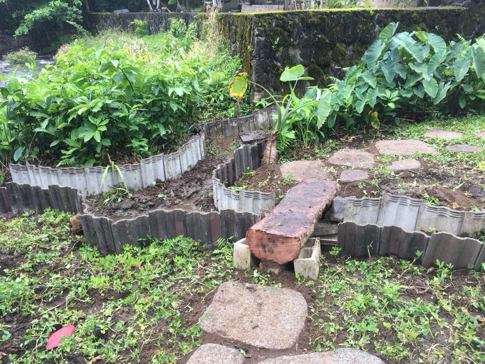 Professional yard cleanup service near you in Honolulu, HI by The Barechested Arborist