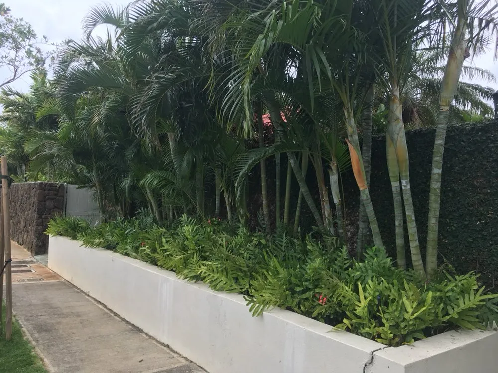 Local residential landscaping for year-round maintenance across Honolulu, HI - The Barechested Arborist