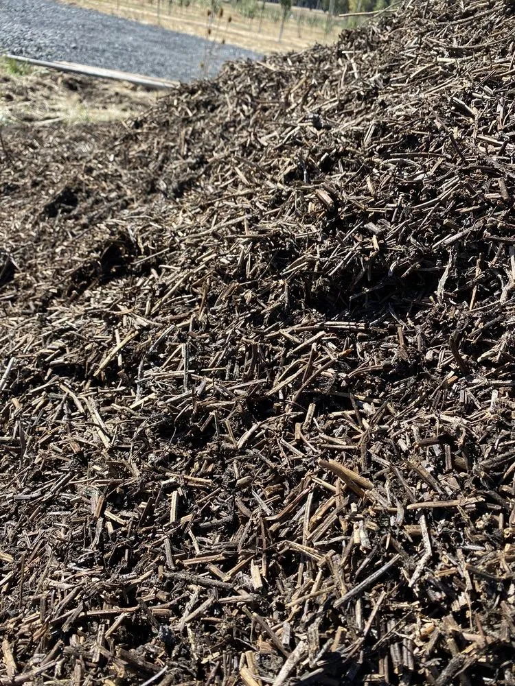 Local landscape design for residential properties in Albany, OR by The Bark Place