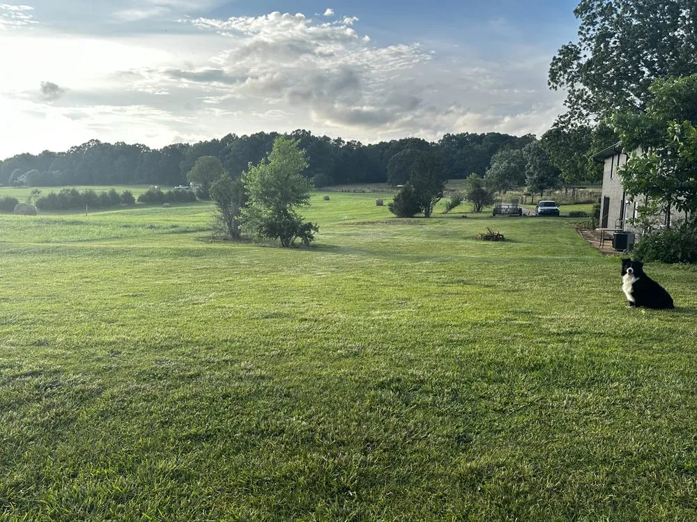 Professional yard cleanup service in Pickens, SC - The Barn on Laurenwood Event & Venue Estate