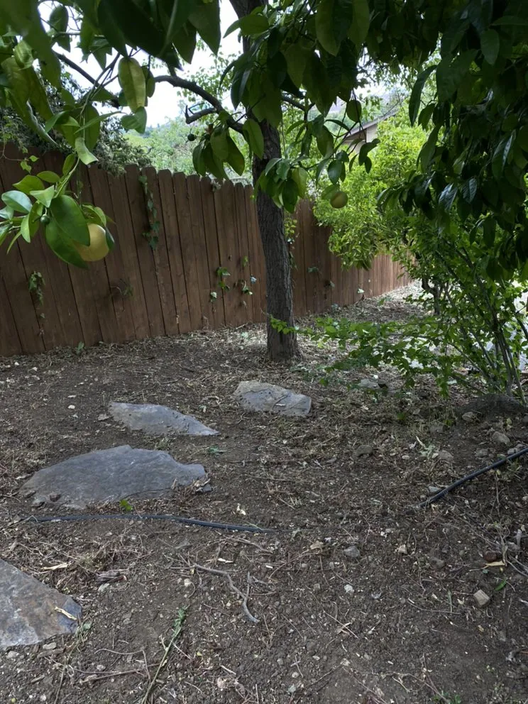 Affordable landscape installation for beautiful yards across Pittsburg, CA - The Bays Landscape 925