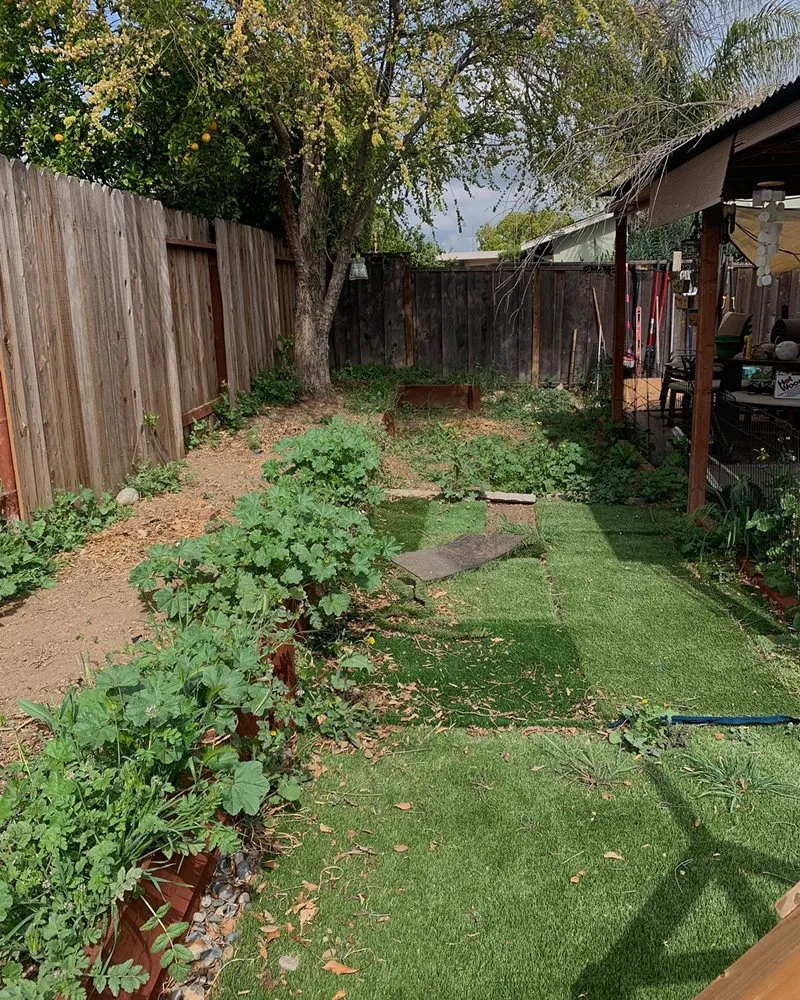 Expert residential landscaping in Pittsburg, CA by The Bays Landscape 925