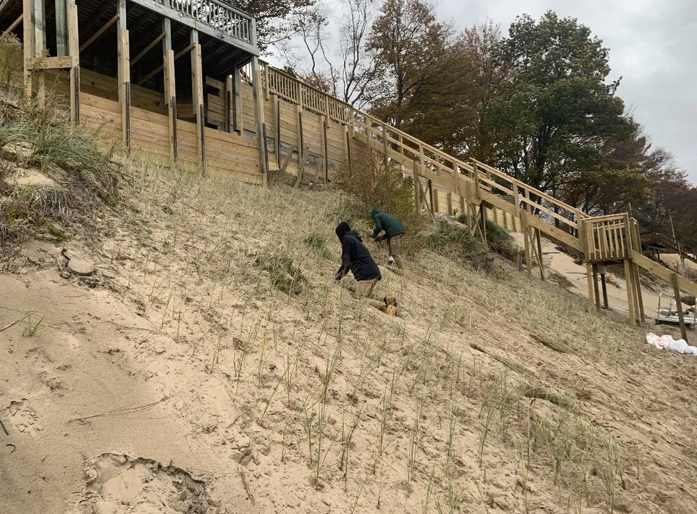 Reliable landscaping services in Forest Hills, MI - The Beach Grass Planting Service