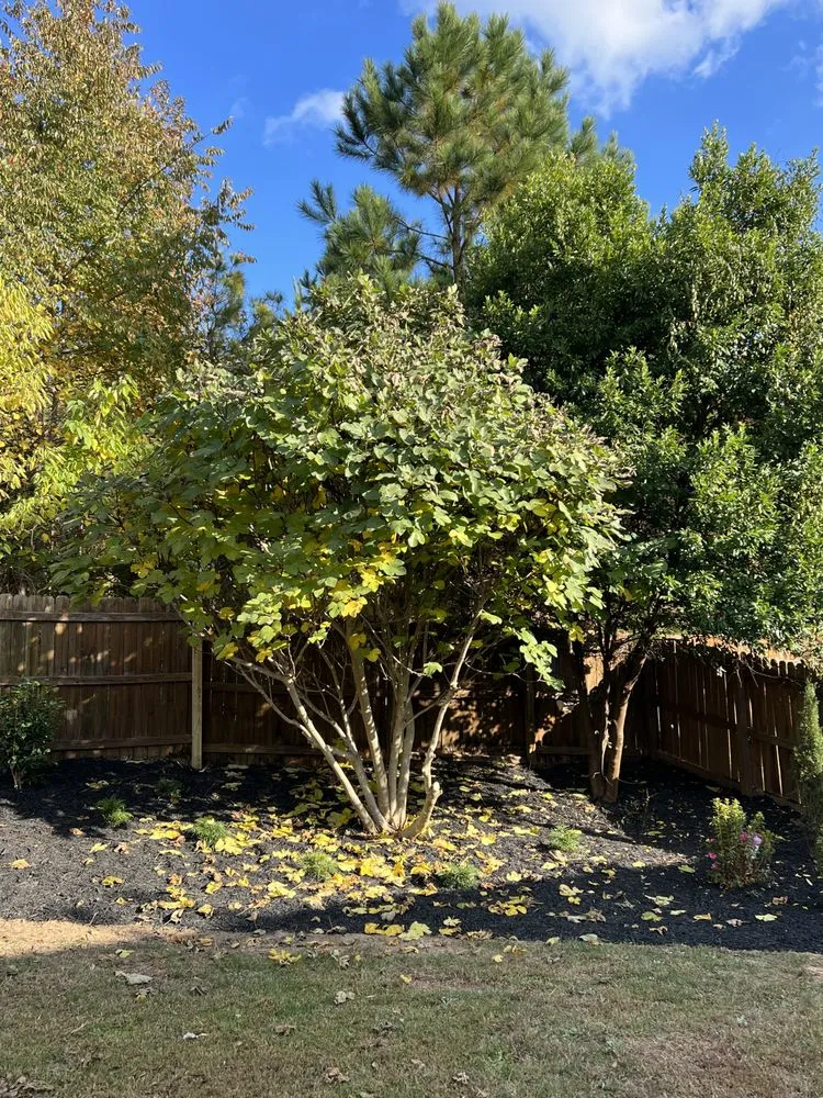 Trusted landscape design in Fort Mill, SC - The Beacon Garden and Landscape