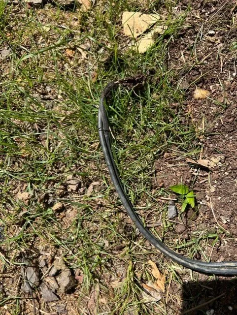 Expert residential landscaping in Fort Mill, SC by The Beacon Garden and Landscape