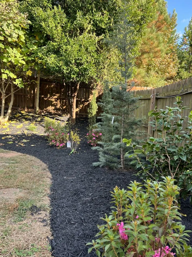 Trusted residential landscaping experts serving Fort Mill, SC - The Beacon Garden and Landscape