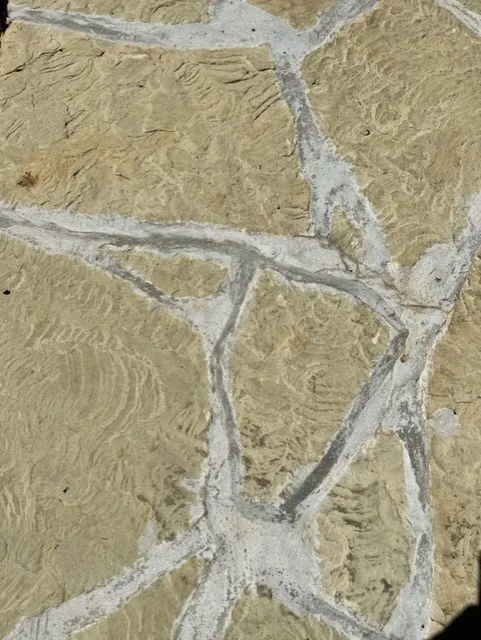 Custom residential landscaping for outdoor upgrades across Fort Mill, SC - The Beacon Garden and Landscape