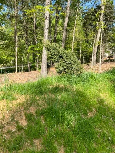 Trusted landscape design experts serving Fort Mill, SC - The Beacon Garden and Landscape