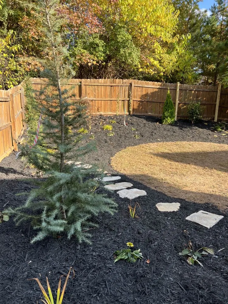 Reliable outdoor landscaping for year-round maintenance in Fort Mill, SC by The Beacon Garden and Landscape