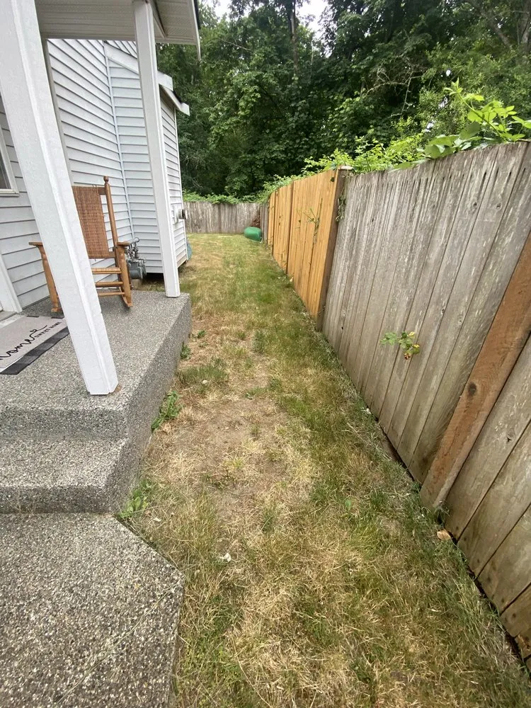 Affordable residential landscaping for year-round maintenance in Marysville, WA by The Bearded Craftsman Lawn Care