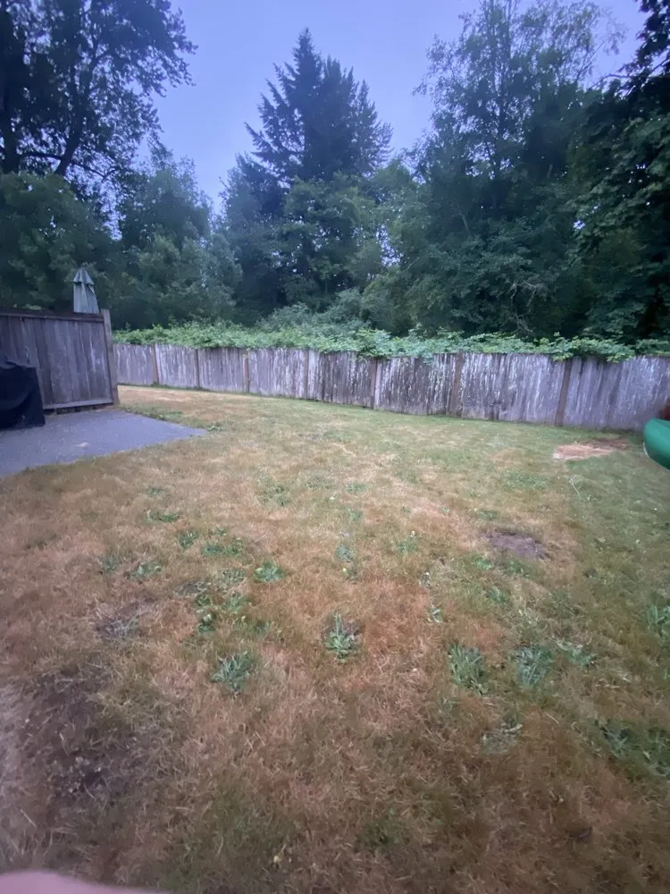 Local landscaping services for year-round maintenance in Marysville, WA by The Bearded Craftsman Lawn Care