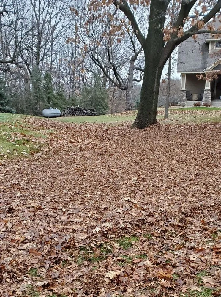 Local yard maintenance with custom design across Watertown, MN - The Bearded Guy Lawn and Landscape