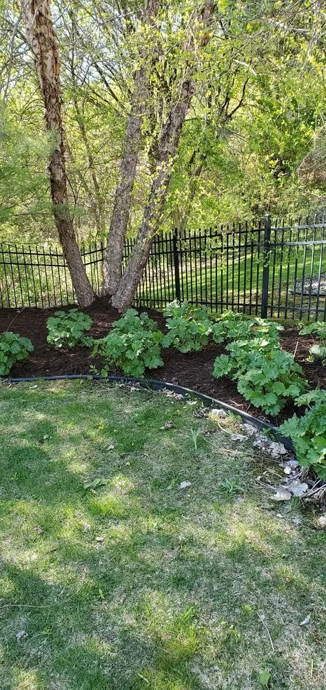 Expert lawn care service experts serving Watertown, MN - The Bearded Guy Lawn and Landscape